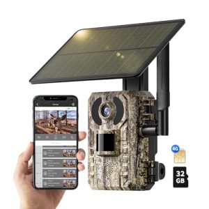 B0DZWLVYK3_IT